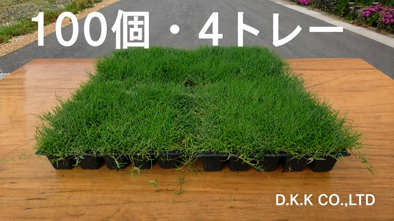 DKK