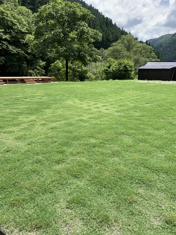 ティフトン芝ポット苗を採用したキャンプ場全景(岐阜県M様)