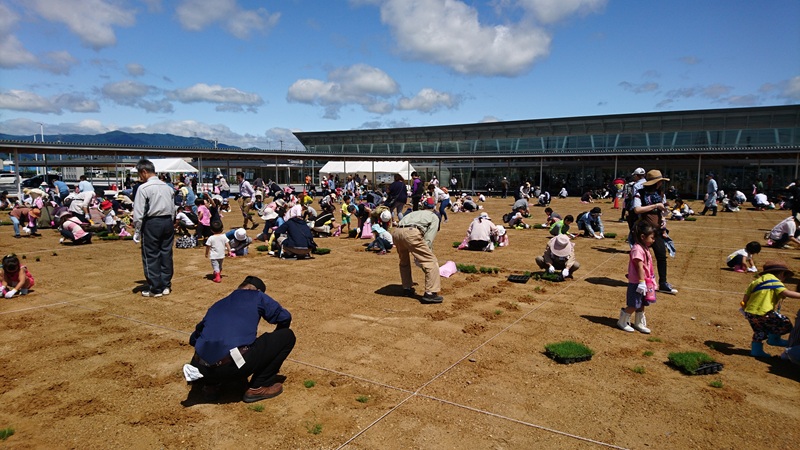 ティフトン芝ポット苗を植え付ける岐阜県O町道の駅のイベント