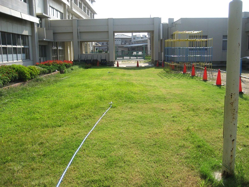 ティフトン芝ポット苗を施工した愛知県S幼稚園の校庭